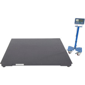 Steel Low Profile Floor Scale, 65"L x 64"W, 4,000 lb. Capacity, Steel, Black