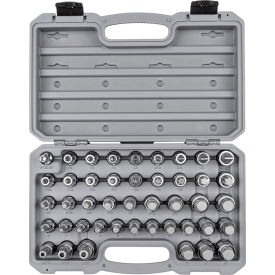 1/2" Drive Hex, Torx, TR Triple Square, Phillips & Slotted Bit Socket Set, 44 Piece