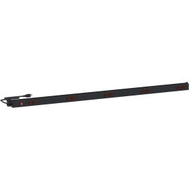 Power Rail with 10 Outlets & 8'L Cord, 15 Amp, 125 Volts, 58-5/8"W, Black