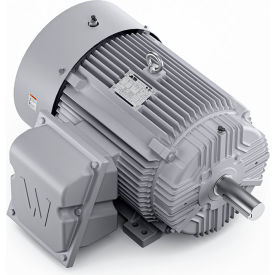 Severe Duty Motor, 3PH, 40HP, 230/460V, 1800 RPM, TEFC, 324T Frame