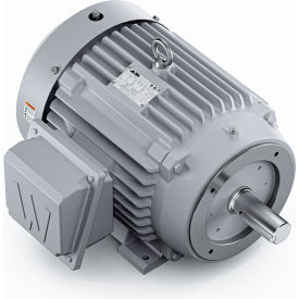 Severe Duty Motor, 3PH, 25HP, 230/460V, 3600 RPM, TEFC, 284TC Frame
