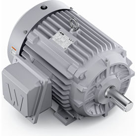 Severe Duty Motor, 3PH, 25HP, 230/460V, 3600 RPM, TEFC, 284T Frame