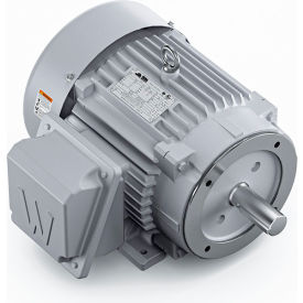 Severe Duty Motor, 3PH, 7-1/2HP, 230/460V, 3600 RPM, TEFC, 213TC Frame