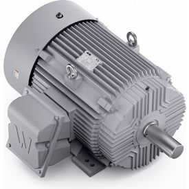 Severe Duty Motor, 3PH, 75HP, 230/460V, 1200 RPM, TEFC, 405T Frame