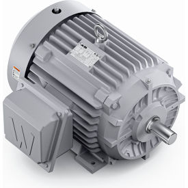 Severe Duty Motor, 3PH, 25HP, 230/460V, 3600 RPM, TEFC, 284TS Frame