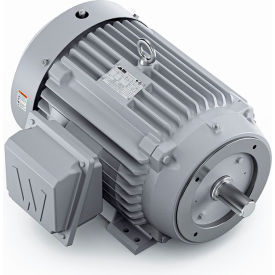 Severe Duty Motor, 3PH, 40HP, 230/460V, 3600 RPM, TEFC, 286TSC Frame