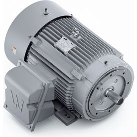 Severe Duty Motor, 3PH, 75HP, 230/460V, 1800 RPM, TEFC, 365TSC Frame