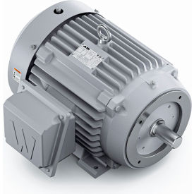 Severe Duty Motor, 3PH, 25HP, 230/460V, 1800 RPM, TEFC, 284TSC Frame