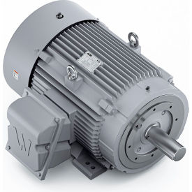 Severe Duty Motor, 3PH, 100HP, 230/460V, 1800 RPM, TEFC, 405TC Frame