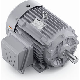 Severe Duty Motor, 3PH, 15HP, 230/460V, 3600 RPM, TEFC, 254T Frame