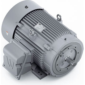 Severe Duty Motor, 3PH, 100HP, 230/460V, 1800 RPM, TEFC, 405TSC Frame
