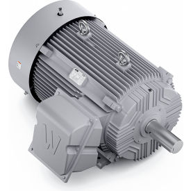 Severe Duty Motor, 200HP, 1800 RPM, Ball Bearing, Insulated ODE Bearing