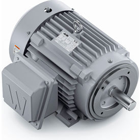 Severe Duty Motor, 3PH, 15HP, 230/460V, 1800 RPM, TEFC, 254TC Frame