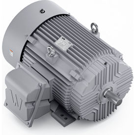 Severe Duty Motor, 3PH, 100HP, 230/460V, 3600 RPM, TEFC, 405TS Frame