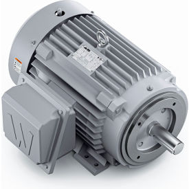 Severe Duty Motor, 3PH, 10HP, 230/460V, 1200 RPM, TEFC, 256TC Frame