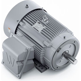 Severe Duty Motor, 3PH, 25HP, 230/460V, 1200 RPM, TEFC, 324TC Frame