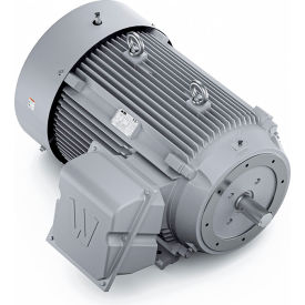 Severe Duty Motor, 3PH, 200HP, 230/460V, 1800 RPM, TEFC, 447TSC Frame