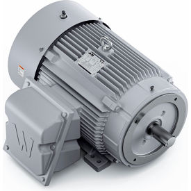 Severe Duty Motor, 3PH, 50HP, 230/460V, 1800 RPM, TEFC, 326TSC Frame