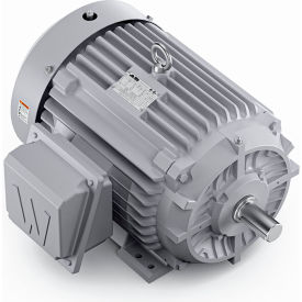 Severe Duty Motor, 3PH, 30HP, 230/460V, 1800 RPM, TEFC, 286TS Frame