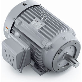 Severe Duty Motor, 3PH, 20HP, 230/460V, 1200 RPM, TEFC, 286TC Frame