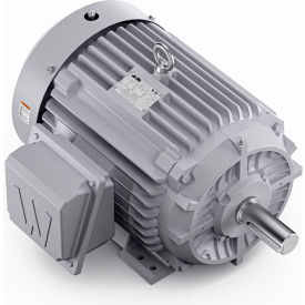 Severe Duty Motor, 3PH, 30HP, 230/460V, 3600 RPM, TEFC, 286T Frame