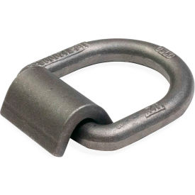 1/2" Weldable D-Ring with Mounting Clip, Gray