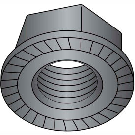 1/4-20 Serrated Flange Hex Lock Nuts Case Hardened Black Oxide, Qty 2000