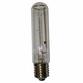 500w Halogen Replacement Bulb