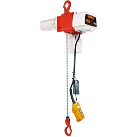Dual Speed Electric Hoist, 10' Lift, 44/10 FPM, 120V