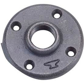 1/2 In. Black Di Floor Flange