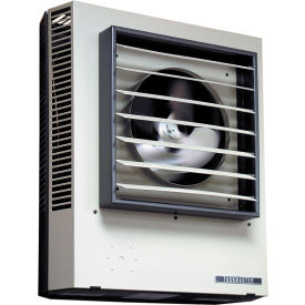 Unit Heater, Horizontal or Vertical Discharge - 15000W 208V 3 PH