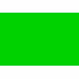 Rectangular Blank Paper Labels, 6"L x 4"W, Standard Green, Roll of 500