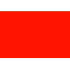 Rectangular Blank Paper Labels, 4"L x 2-3/4"W, Fluorescent Red, Roll of 500