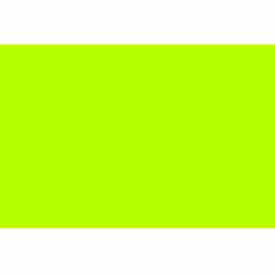 Rectangular Blank Paper Labels, 4"L x 2"W, Fluorescent Green, Roll of 500