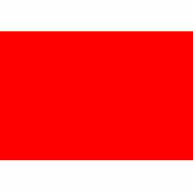 Rectangular Paper Labels, 4"L x 2"W, Standard Red, Roll of 500