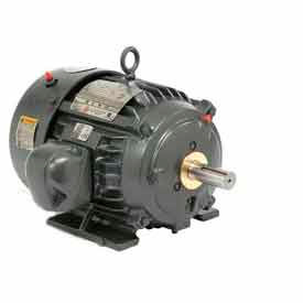 TEFC, 100 HP, 3-Phase, 3560 RPM Motor, 8P100P1CS