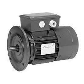 Brake, 0.75 HP, 3-Phase, 1720 RPM Motor