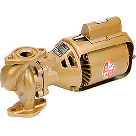 Bronze Body 2 IN. BNFI Pump 1/6 HP Single Phase