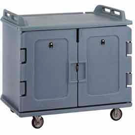 Meal Delivery Cart Low Profile, 2 Doors, 48-1/2 x 32-1/2 x 44, Granite Sand