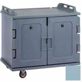 Meal Delivery Cart Low Profile, 2 Doors, 48-1/2 x 32-1/2 x 44, Slate Blue