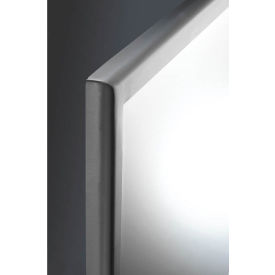 Inter-Lok Stainless Steel Framed Mirror - Tempered Glass 18 x 30