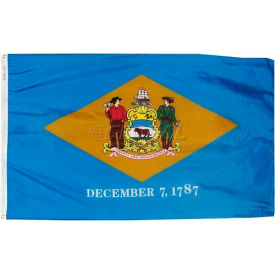 3X5 Ft. 100% Nylon Delaware State Flag