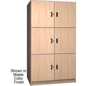 Ironwood 2 Compartment Solid Door Wood Storage Cabinet, Folkstone Color