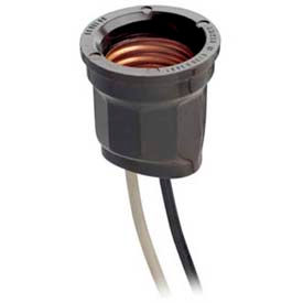 Incandescent Lampholder, Medium Base, Keyless