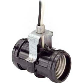 Medium Base 2-Light Twin Incandescent Lampholder
