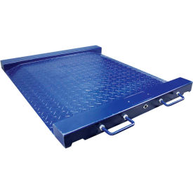 PTM Drum & Wheelchair Platform Scale, 1,100 lb x 0.2 lb