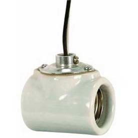80-1314 Twin Glazed Porcelain Socket w/Flange Bushing Cap and 9-in. Leads