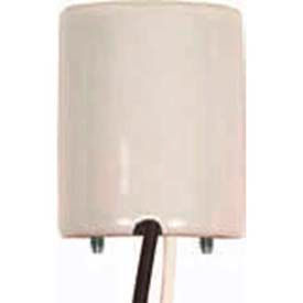 80-1700 Keyless Glazed Porcelain Socket with Paper Liner, Mount Screws, 2 Wireways and Leads