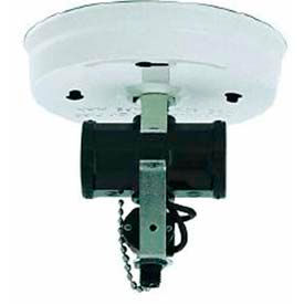 2 Light Bent Glass Fixture Holder w/ Pull Chain Switch - White Finish