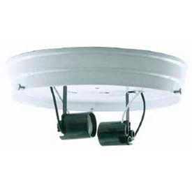 8-in. Two Light Ceiling Pan - Chrome Finish
